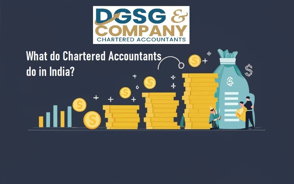 What Do Chartered Accountants Do in India?